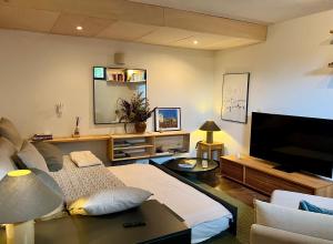 a large living room with a television and a couch at Casa Libao-VILLA ENTRE BILBAO Y URDAIBAI CON PISCINA PRIVADA in Arrieta