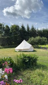 a white tent in the middle of a field with flowers at Vallimäe Glamping Otepää in Mägestiku