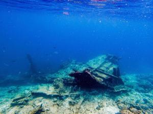 a underwater view of a coral reef with a fish at The Sultanate Courtyard Lh Hinnavaru  +1 photo