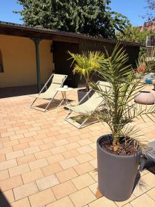 a patio with two lawn chairs and palm trees at Posthotel Arnold in Gunzenhausen