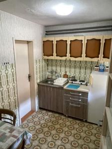 a kitchen with a sink and a refrigerator at Yellow House in Ritopek