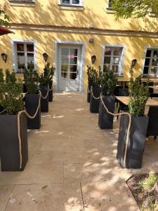 a row of potted plants in front of a building at Posthotel Arnold in Gunzenhausen