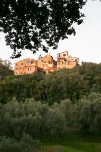 a group of buildings on top of a hill at Casa Fernanda in Albiano