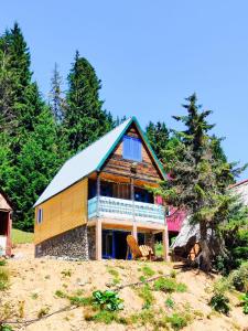 a large wooden house with a blue roof at Getaway in Chʼkhakoura +12 photos