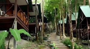 a stairway leading up to a building with trees at Green Valley Resort in Tonsai Beach
