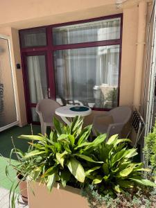 a patio with a table and chairs and plants at Hotel Acropolis in Varna City