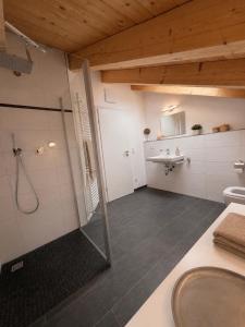 a bathroom with a shower and a sink at Alpenwohnung Neuner in Wallgau +18 photos