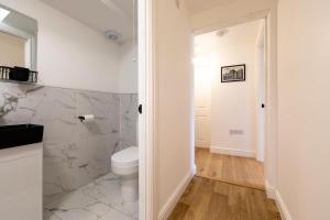 a bathroom with a toilet and a sink at New 3 Bedroom Apartment Next to Station in Chepstow