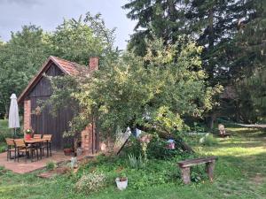a house with a table and a tree in the yard at Pacsirta Porta in Nemesnép