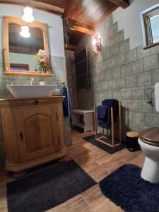 a bathroom with a sink and a toilet at Pacsirta Porta in Nemesnép