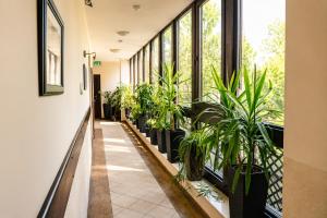 a hallway with potted plants in a building at Stara Szkoła Boutique Hotel in Wronki