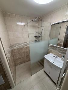 a bathroom with a shower and a sink at Apartmán 1, Heydukovka in Písek +6 photos