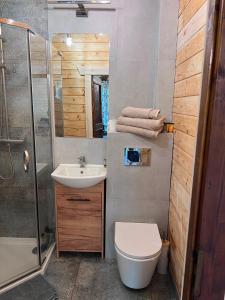 a bathroom with a toilet and a sink and a shower at Relax nad Narwią u Oli Pawła in Chmielewo +49 photos