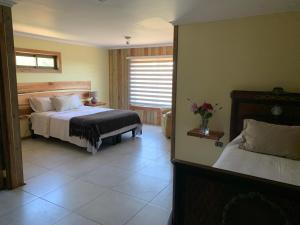 a hotel room with a bed and a window at Viejo Boldo hotel y cabañas in Curepto