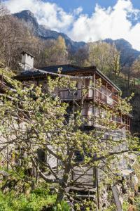 ein Haus auf einem Hügel mit einem Baum davor in der Unterkunft Bed and Breakfast da Toldo in Russo