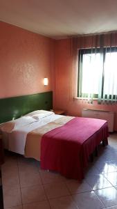 a bedroom with a large bed and a window at Albergo Armida in Castenedolo