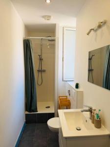 a bathroom with a shower and a toilet and a sink at Appart cosy avec billard, à Bort in Bort-les-Orgues