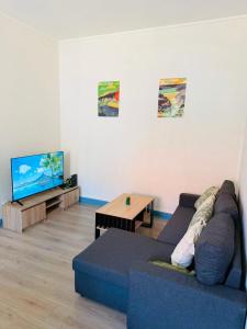 a living room with a couch and a tv at Appart cosy avec billard, à Bort in Bort-les-Orgues