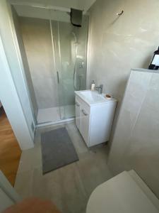 a bathroom with a shower and a toilet and a sink at Villa Kasimir in Videm pri Ptuju