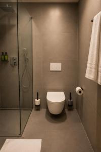a bathroom with a toilet and a shower at Hotel am Hardtsee in Ubstadt-Weiher +14 photos