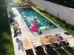 a swimming pool with a swan and a flamingo in it at Effet Lodge in Saint-Cyr-au-Mont-dʼOr