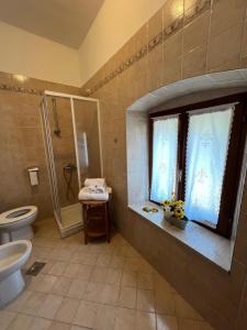 a bathroom with a toilet and a shower and a window at Casa Anima Allegra in Triban