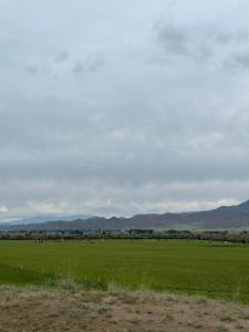 a field of green grass with mountains in the background at Kochkor valley in Kochkorka