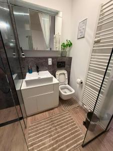 a bathroom with a sink and a toilet and a mirror at Eibisch Apartments in Passau +24 photos
