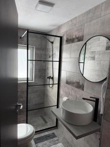 a bathroom with a shower and a tub and a toilet at Casa Runc in Şarul Dornei