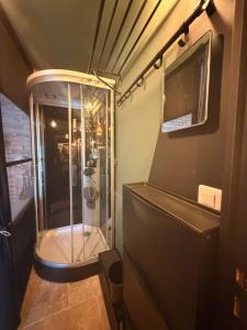 a bathroom with a shower in a room at Independent charming studio in Gibel +8 photos