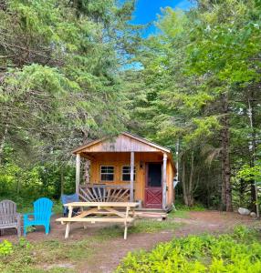 a small cabin with a picnic table and two chairs at Lookout Cabin in Barton +31 photos