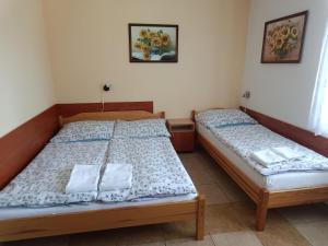 a pair of beds in a room with two beds at Apartmány pod Suchým Vrchem - Dolní Morava - Buková hora - Orličky in Orličky