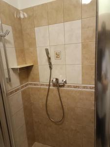 a shower with a hose in a bathroom at Apartmány pod Suchým Vrchem - Dolní Morava - Buková hora - Orličky in Orličky +56 photos