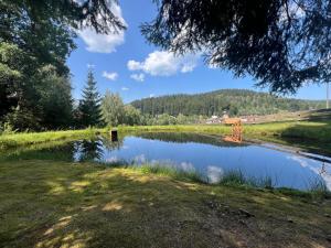 a pond in a field with a bridge in the distance at Penzion Alpský Dům in Železná Ruda