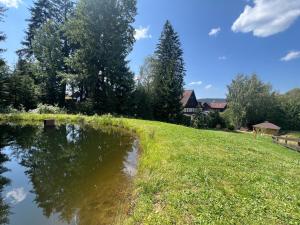 a grassy hill with a pond in front of a house at Penzion Alpský Dům in Železná Ruda
