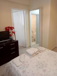 a bedroom with a bed and a television and a bathroom at Stydio Damos in Kavála