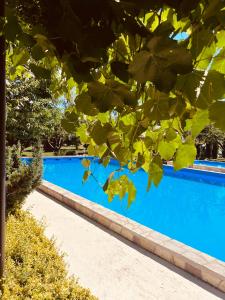 a blue swimming pool next to a tree at Plava Zora in Kolašin +16 photos