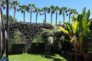 a garden with palm trees and plants at Apartamento de Lujo Cerca de la Playa EL CAMPELLO in El Campello