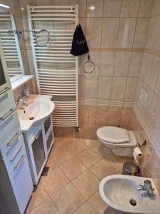 a bathroom with two sinks and a toilet in it at Vineyard Cottage - Ana in Metlika +12 photos