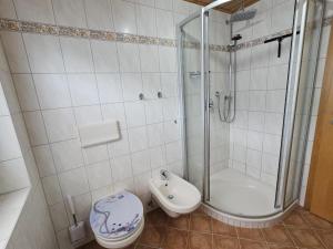a bathroom with a shower and a toilet and a sink at Ferienwohnung Andalucia in Selb +15 photos
