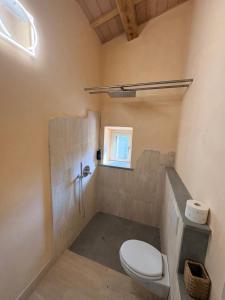 a bathroom with a toilet and a shower at Vessa 3 in Selvapiana