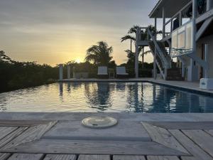 a swimming pool with a basketball hoop in front of a house at The View Villa in Hartswell