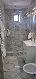 a bathroom with a shower and a toilet and a sink at Studio Central Brancusi in Târgu Jiu +15 photos
