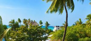 a house in the middle of palm trees at BamBam Bungalows Zanzibar in Nungwi