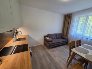 a kitchen and living room with a couch and a table at Apartmán Mlýn 208 in Vrchlabí
