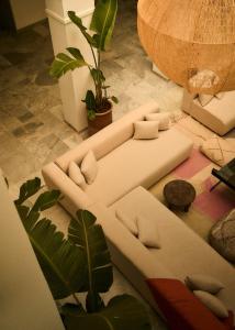 a living room with a white couch and a plant at The Riad by Blue Waves in Agadir