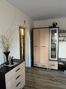a kitchen with a dresser and a large cabinet at Sielski domek w Orawce in Jabłonka +12 photos