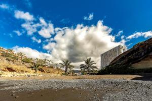 プラヤ・パライソにあるDBL Paradiseのヤシの木と高い建物のある浜辺