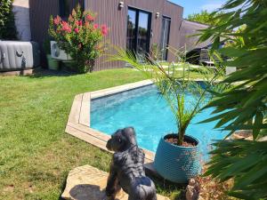 a statue of a dog sitting next to a swimming pool at Le Paradis d'Auguste in Meyzieu