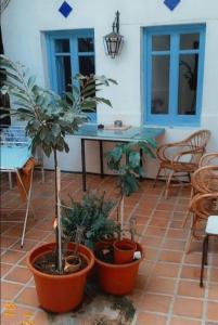 a patio with potted plants and a table and chairs at Casa granada in Atarfe